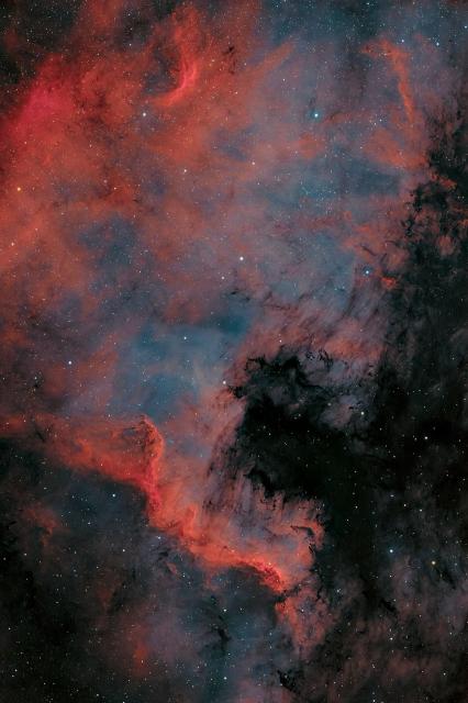 "NGC 7000 Nébuleuse de l'Amérique du Nord."

Luc Viatour / https://Lucnix.be, CC BY-SA 2.5, via Wikimedia Commons.