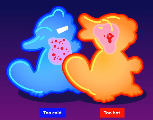 Two mammals showing one host is too hot and one host is too cold.