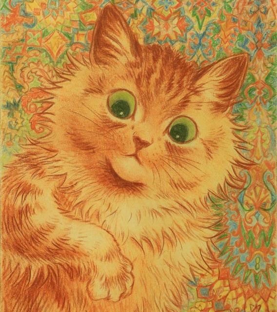 orange cat