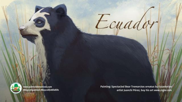 Juanchi Pérez is a #wildlife artist and #animalrights advocate from #Ecuador who uses his paintbrush to fight 4 #Ecuador’s animals against #palmoil and #gold mining. Here is his inspiring story @ZIGZE #Boycottpalmoil #Boycott4Wildlife https://palmoildetectives.com/2023/08/27/wildlife-artist-and-animal-rights-advocate-juanchi-perez-in-his-own-words/ via @palmoildetect
