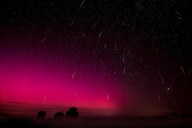 "Perseid Meteor shower and aurora borealis over Westhavelland nature park."

Manolo Gómez from Berlin, Deutschland, CC BY 2.0, via Wikimedia Commons or Flickr: https://flic.kr/p/2q9Q79V