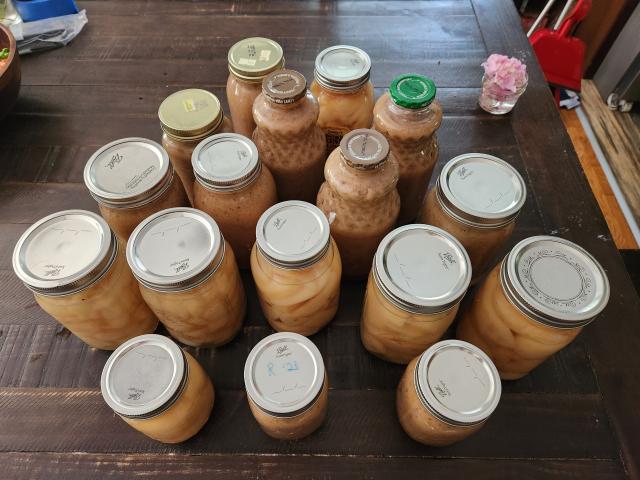 Seventeen cans of pears and pear sauce on a wooden table