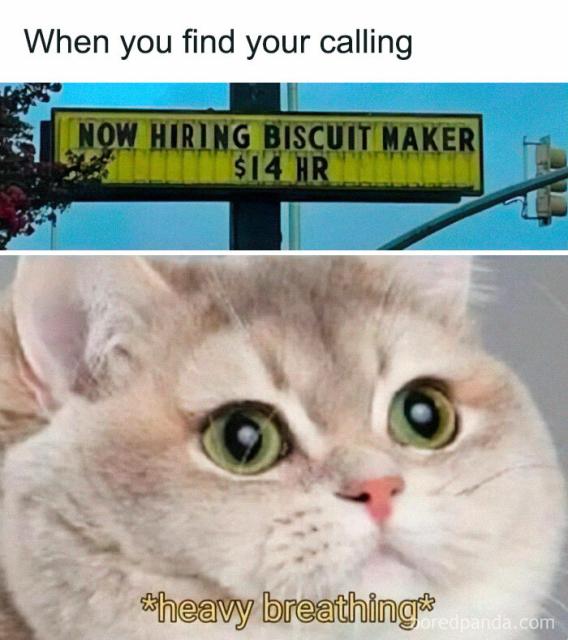 biscuit maker