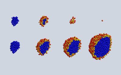 Simulations of phage attacks on growing microcolones. Upper row:  A relatively early phage attack (infection at 3.25 h), results in killing of all cells. Lower row: A slightly later attack (infection at 3.75 h), results in continued growth of cells in the center of the microcolony. Blue spheres represent live, uninfected cells. Phage-infected bacteria are yellow to red, the ones closest to lysis are the most red. Source: https://doi.org/10.1073/pnas.1708954115