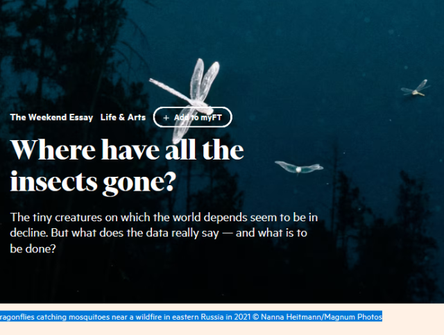 The Weekend Essay  Life & Arts
Where have all the insects gone?
The tiny creatures on which the world depends seem to be in decline. But what does the data really say — and what is to be done?