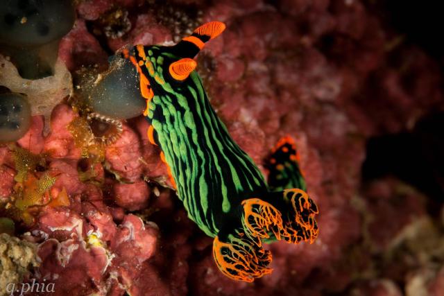 "2023, philippines, solitude one, marianduque nembrotha kubaryana at lunch."

q phia, CC BY 2.0 via Flickr: https://flic.kr/p/2oQ4Nzq