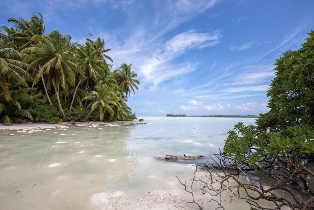 "Ansicht des Palmyra Atoll National Wildlife Refuge."

USFWS - Pacific Region, Public domain, via Wikimedia Commons.