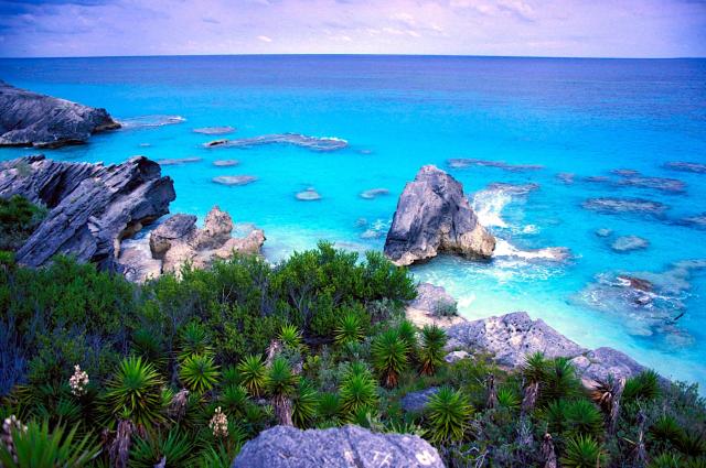 "Bermuda 1984."

Hannes Grobe, CC BY-SA 4.0, via Wikimedia Commons. Image Edits.