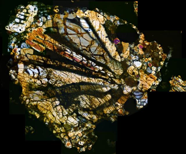 Northwest Africa (NWA) 4910 Meteorite Thin Section microphotograph.

Solar Anamnesis, CC BY-NC-SA 2.0 via Flickr: https://flic.kr/p/Q5ydU2