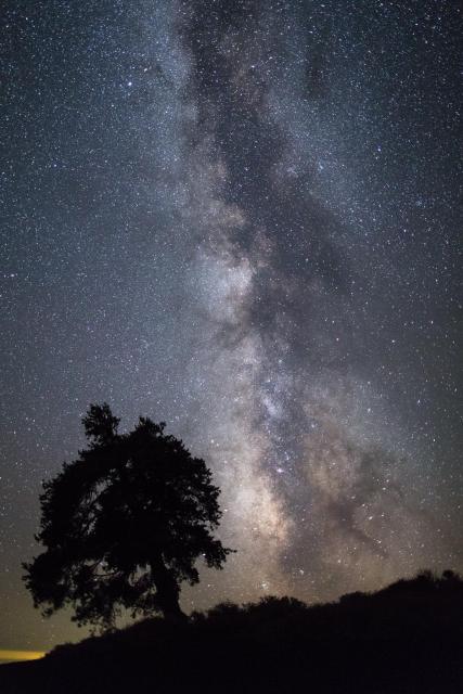 "Milky Way and tree from Inferno Cone."

Craters of the Moon National Monument and Preserve, Public domain, via Wikimedia Commons or Flickr: https://flic.kr/p/XSPcMo