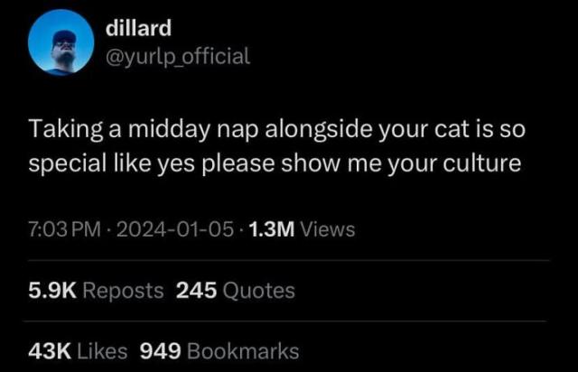 cat culture