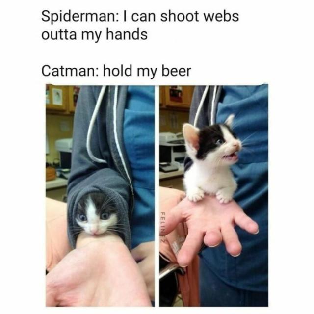 cat man