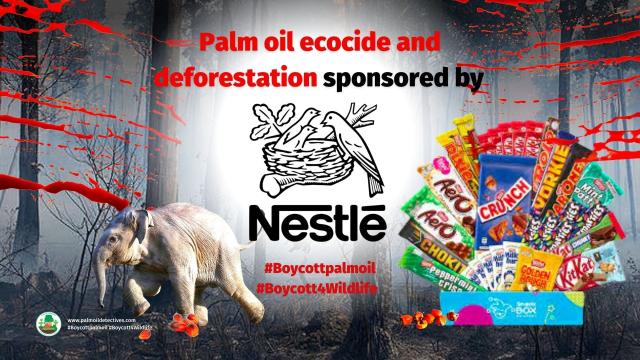 #News: Disgraced #PalmOil co. Royal Golden Eagle receives billions in "sustainability" loans while holding #supplychain links to palm oil #ecocide, present in products of  #Unilever, #Ferrero #PepsiCo and more! 🔥🌴 #BoycottPalmOil #Boycott4Wildlife @RAN  https://www.ran.org/forest-frontlines/royal-golden-eagle-group-receives-billions-in-sustainability-loans-amid-ongoing-links-to-deforestation-across-its-business/

Boycott Nestle 