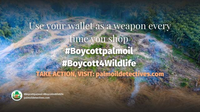 #News: Disgraced #PalmOil co. Royal Golden Eagle receives billions in "sustainability" loans while holding #supplychain links to palm oil #ecocide, present in products of  #Unilever, #Ferrero #PepsiCo and more! 🔥🌴 #BoycottPalmOil #Boycott4Wildlife @RAN  https://www.ran.org/forest-frontlines/royal-golden-eagle-group-receives-billions-in-sustainability-loans-amid-ongoing-links-to-deforestation-across-its-business/