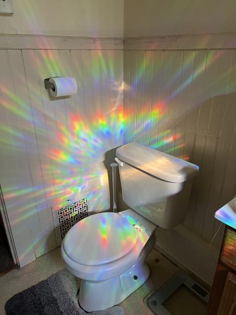 I changed the privacy film on the bathroom window in my new apartment, and for about a half hour in the morning, it casts a massive circular rainbow mandala directly on the toilet corner of the bathroom.

I’m going to call it the Unicorn Shitting Hour.