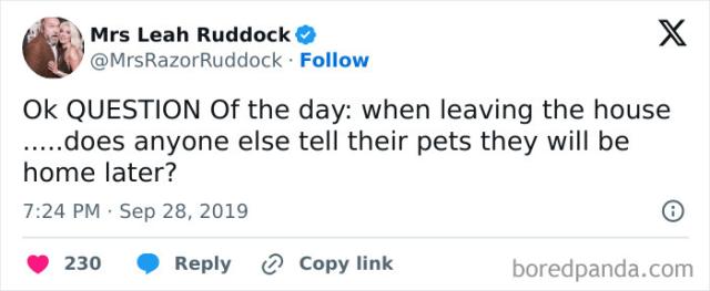 saying goodbye to your pet