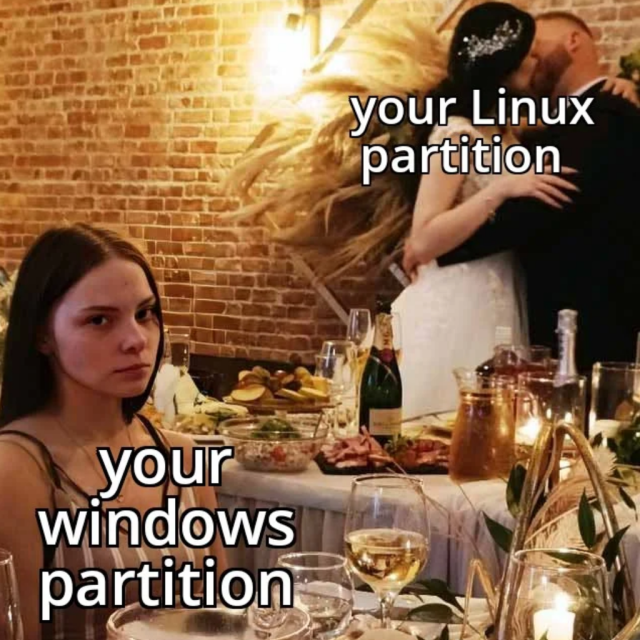 There is a photo where two people are kissing each other, where it says, “your Linux partition”.

In the same photo, there's another person sat on a table looking towards the camera, where it says, “your Windows partition”.