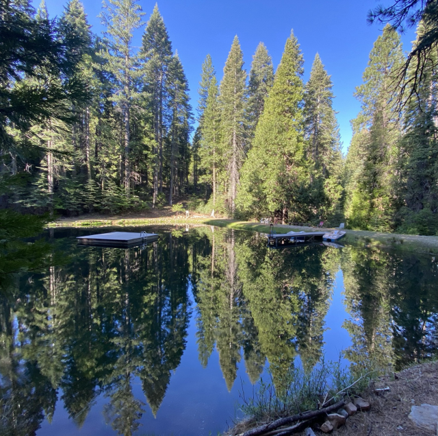 There’s a cool shaded mountain pond reflecting the forest across the still water in the morning light like a mirror. There are some lounge chairs, a beached pedal boat a dock and a square floating platform, but no people in sight. 