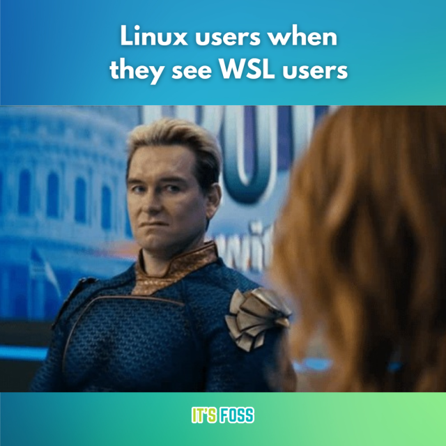 Linux users when they see WSL users. 
There's a photo where, a man with a disgusted expression on his face when looking down on another person.

The man in question is Homelander, looking at Firecracker with disgust.