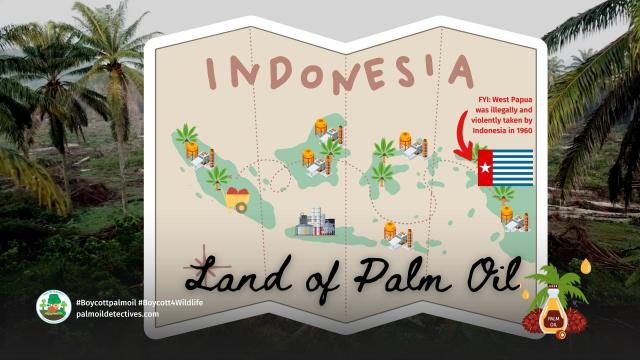 Experts fear a #palmoil #biofuel boom may drive massive #deforestation in #Indonesia, threaten the world’s 3rd largest #rainforest and send irreplaceable #animals and plants to extinction #Boycottpalmoil #Boycott4Wildlife @contextnewsroom @palmoildetect https://wp.me/pcFhgU-8Vs