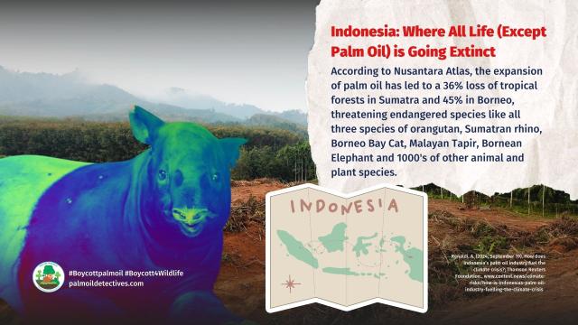 Experts fear a #palmoil #biofuel boom may drive massive #deforestation in #Indonesia, threaten the world’s 3rd largest #rainforest and send irreplaceable #animals and plants to extinction #Boycottpalmoil #Boycott4Wildlife @contextnewsroom @palmoildetect https://wp.me/pcFhgU-8Vs