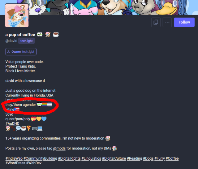 screencap of david@tech.lgbt's profile with "they/them agender" circled in red