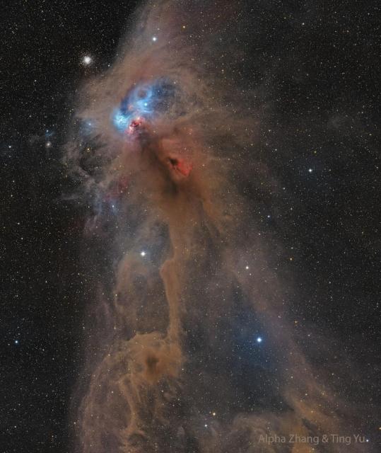 A brown dusty nebula is shown in front of a star field. The nebula looks to some like a baboon, with red emission stemming from the mouth and blue reflection from the eyes.