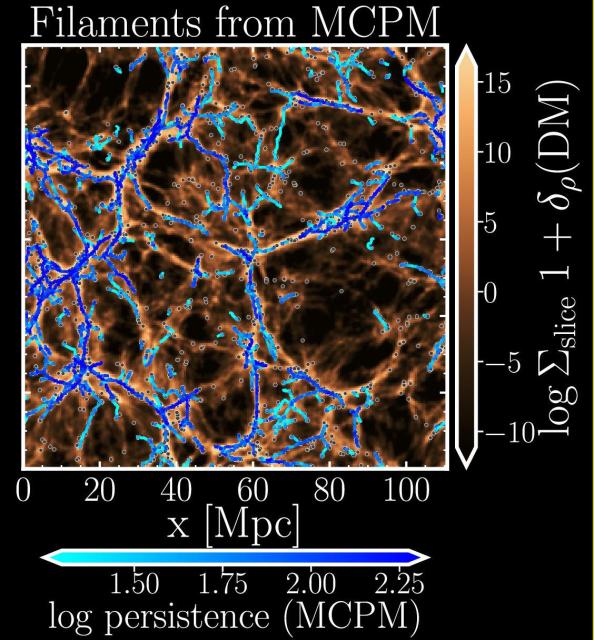 An image from Farhanul Hansan’s paper in the Astrophysical Journal shows the large-scale matter distribution and cosmic “filaments” of the universe are more faithfully captured by the slime mold model than the existing standard framework. (Image courtesy Farhanul Hasan)