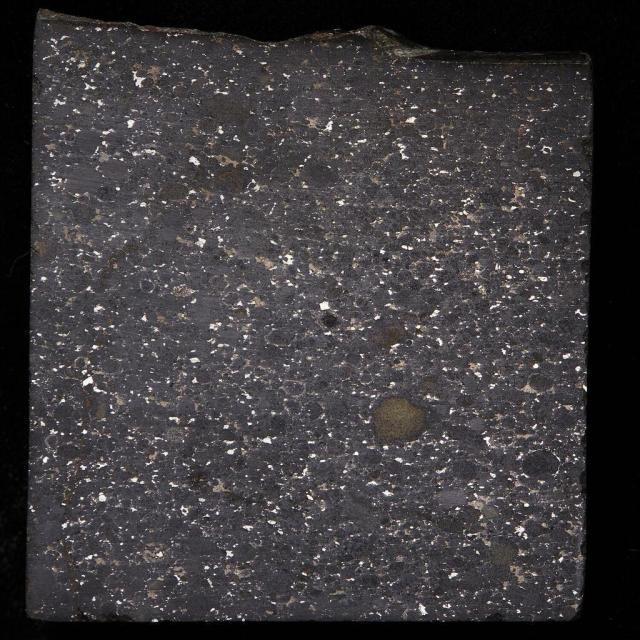 Picture of a slice of the Julesburg Meteorite; in 1983 it was removed from a landfill.

Photographer: Rodney Start. Copyright Museums Victoria / CC BY (Licensed as Attribution 4.0 International)