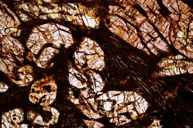 Microphoto of a thin section of the Northwest Africa (NWA) 960 Meteorite.

Solar Anamnesis, CC BY-NC-SA 2.0 via Flickr: https://flic.kr/p/2eqyHDj