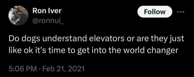 Tweet by Ron Iver from 2021: ”Do dogs understand elevators or are they just like ok it's time to get into the world changer“