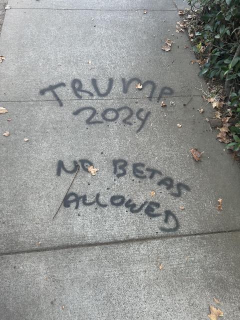 The message “Trump 2024 no betas allowed” spray painted on the sidewalk