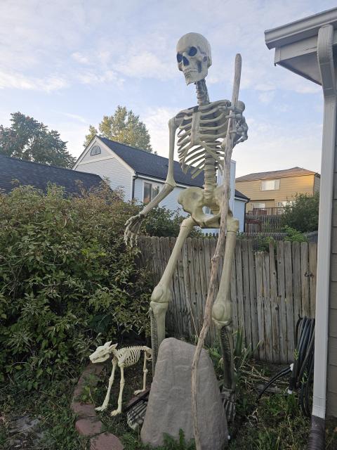 Skeleton as tall as the house next to it, standing with a walking stick and a relatively small skeleton wolf dog next to their ankle, looking off into the distance as the early morning sun spreads across the houses in the background