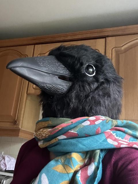 A woman in a red jumper wearing a raven mask which covers her entire head. 