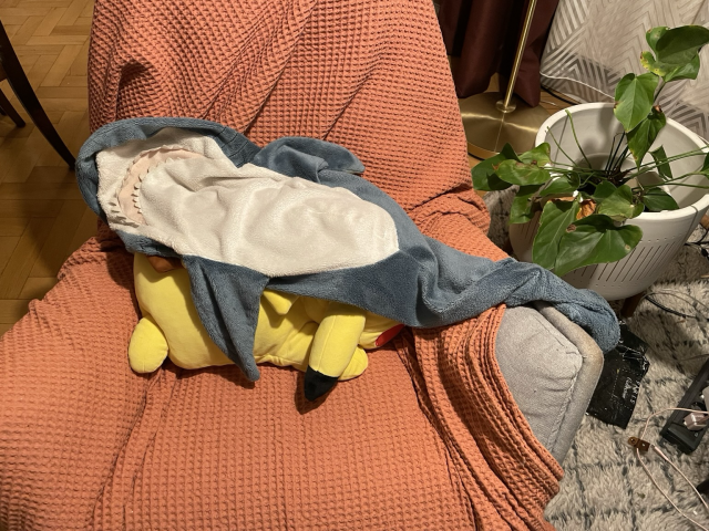 A 100cm Ikea shark with the stuffing temporarily removed. 