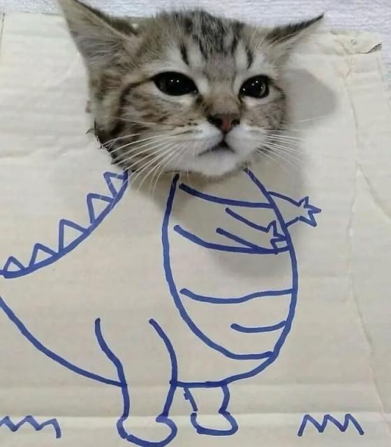 kitty dragon