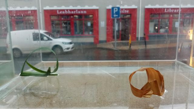 Two boats made from flag iris leaves, floating in a glass water tank.