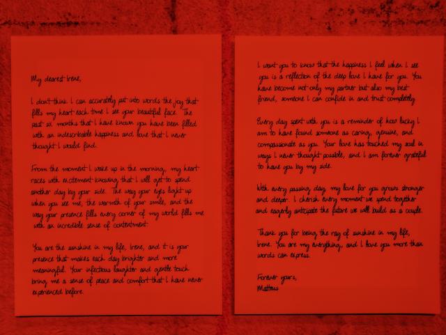 Dear Ai, by Fred Wordie