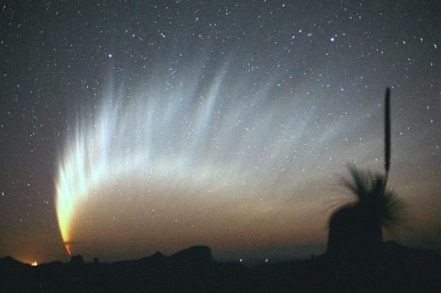 A starry sky is pictured just after sunset. The silhouette of plants and a distant landscape covers the bottom of the picture. Spanning most of the frame is a comet with an amazingly long and complex tail.