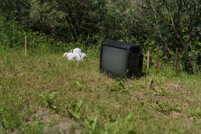 A photo of a green grass on a sunny day. On the grass there is a black CRT TV set. To the left of the TV set there is a white empty glass lamp-shade. In the background there are bushes of sea-buckthorn.