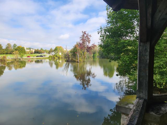 View of the Virginia Tech duck pond from a gazebo