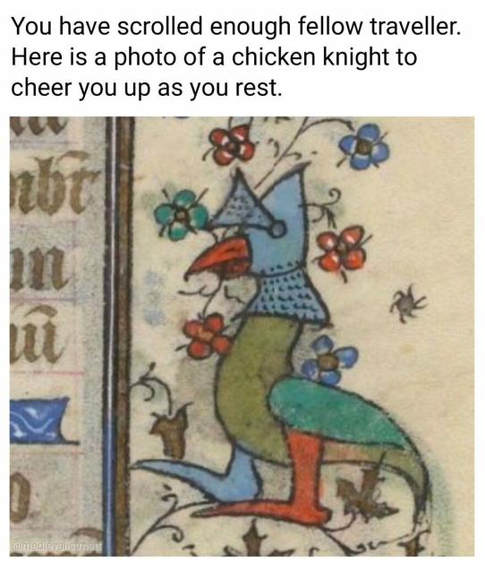 chicken knight