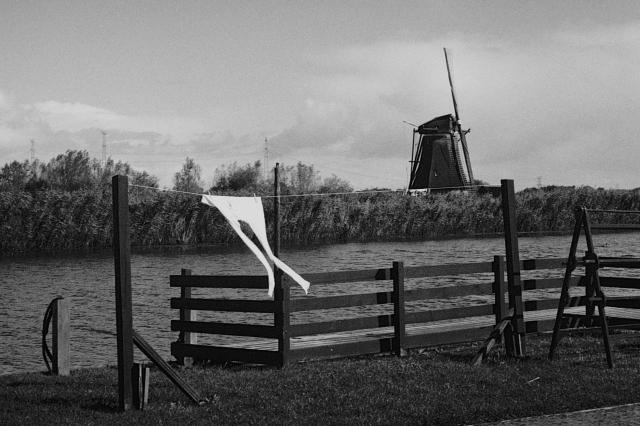 A pair of long underwear on a clothesline, with a windmill in the background