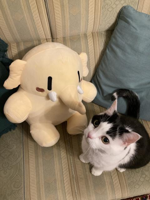 A picture of the beige Mastodon plushie next to a tuxedo cat who is looking up near the camera. They are both sat on a light green and brown striped couch.