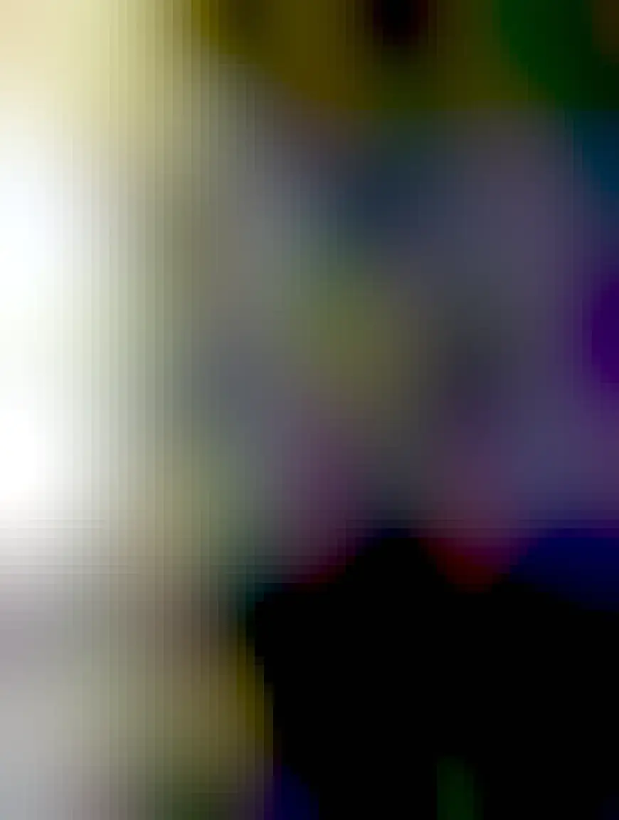 The greatest cat in the world 