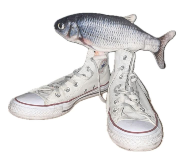 A Picture of a fish, wearing some big shoes while staring at the left side of the image. I wish I could be like them.