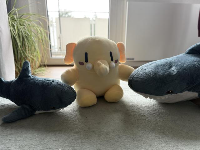 A mastodon plushie, surrounded by 2 Blahaj, looking at it.