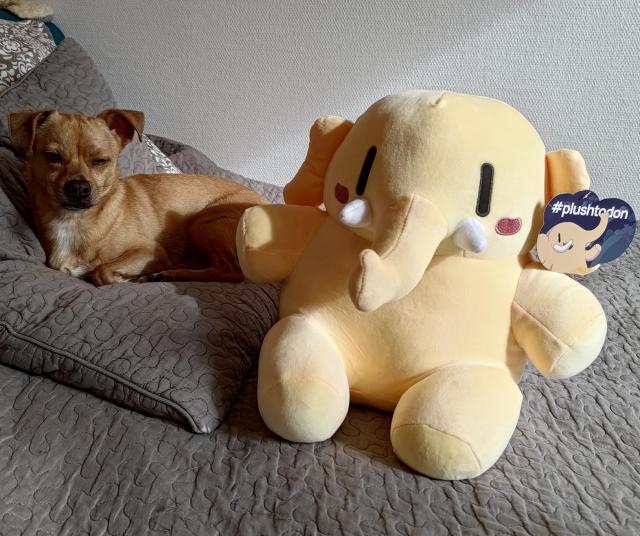 Plushtodon and a little dog on a bed.