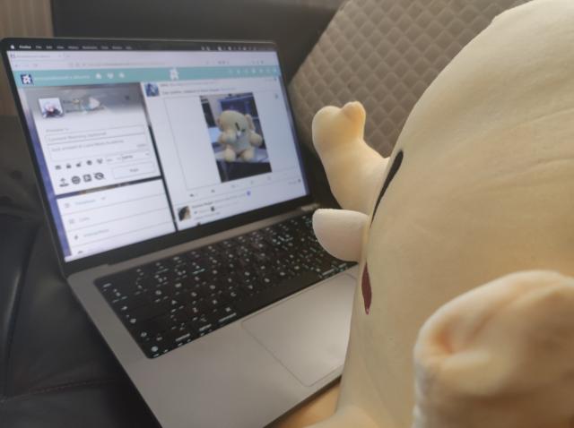 The Mastodon plushie looking at a MacBook Akkoma on the screen.