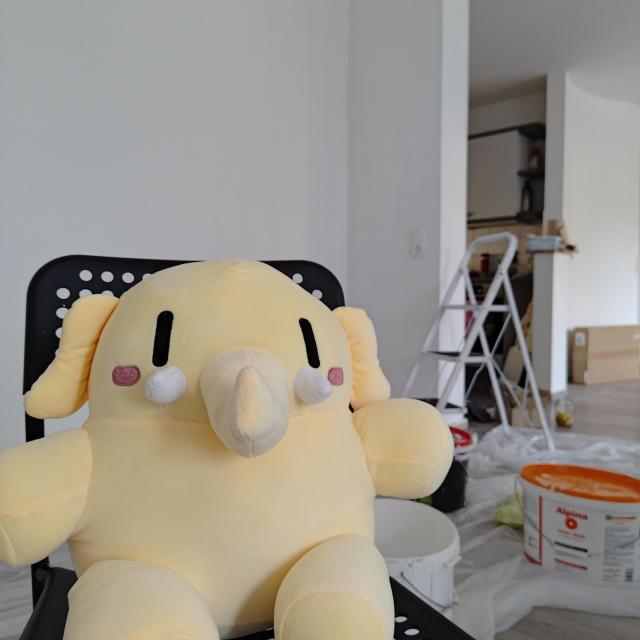 A big, soft, squishy plush toy of the Mastodon mascot (a yellowish beige mastodon) sitting on a chair in a room. In the background one can see a step ladder, buckets with paint, and other renovation accessories